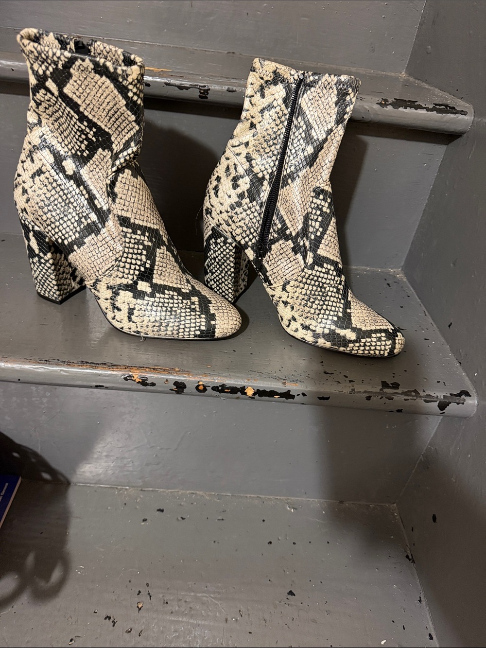 Aldo Black & Cream Snake-Print Block Heel Ankle Boots